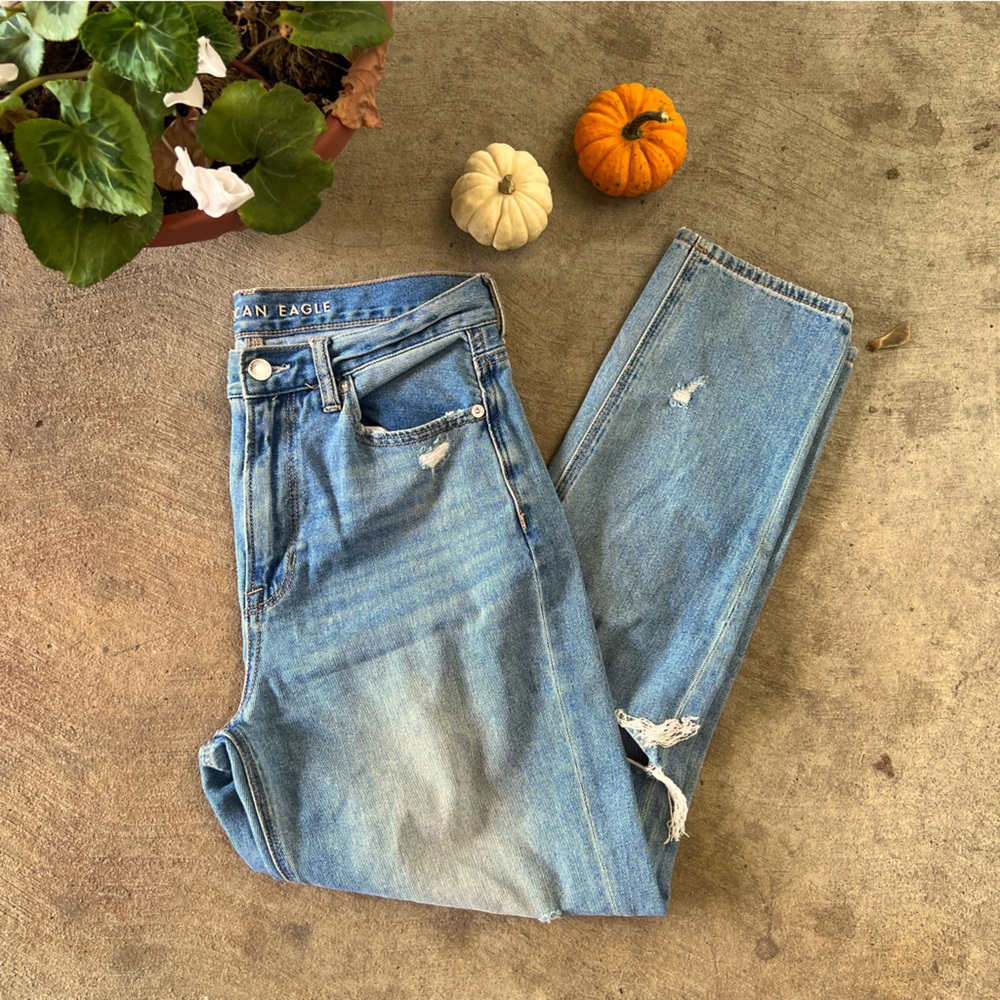 AMERICAN EAGLE  |  NWOT high rise mom jean